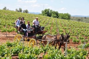 Primavera Enogastronómica